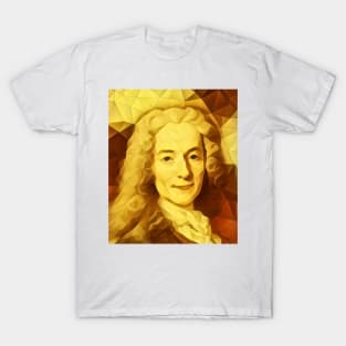 Voltaire Golden Portrait | Voltaire Artwork 9 T-Shirt